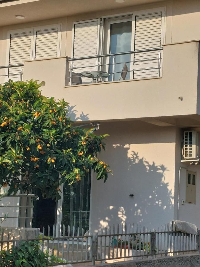 Apartment Dario Grebaštica Esterno foto